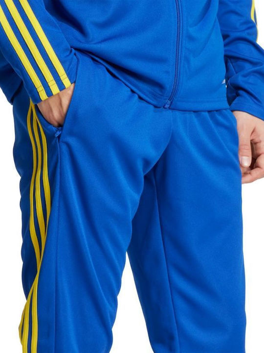 Squadra Sweatpants Glossy without Elastic Blue And Yellow