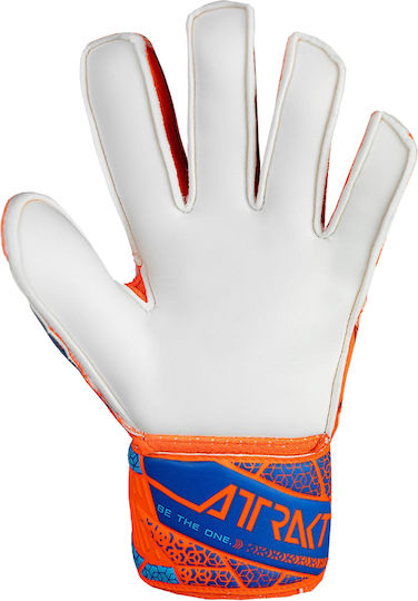 Reusch Attrakt Solid Finger Support Kids Goalkeeper Gloves Multicolour