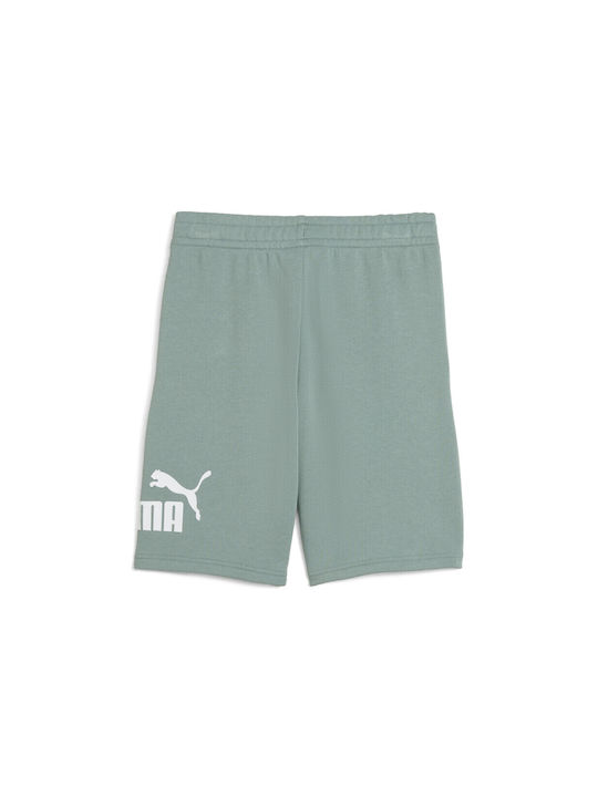 Puma Kids Shorts/Bermuda Fabric Green