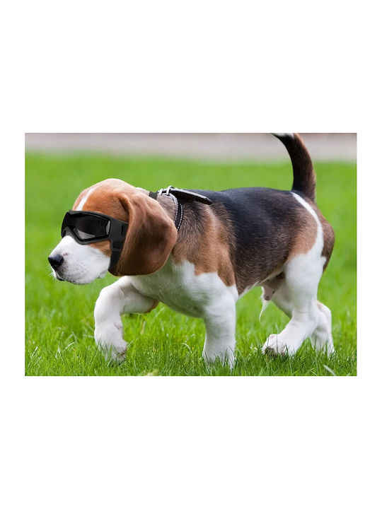 Schutzbrille Hunde Katzen Haustiere Motorrad Fahrrad UV400