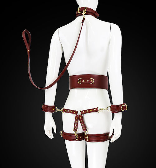Naughty Toys BDSM Kit σε Κόκκινο Χρώμα 6τμχ