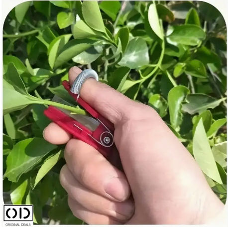 Foarfeci Mini de Grădină pentru Degete Compatibile cu Vița de Vie Fructe Lăstari de Legume Dimensiune 5 X 1.3 Cm Roșu Oferte Originale