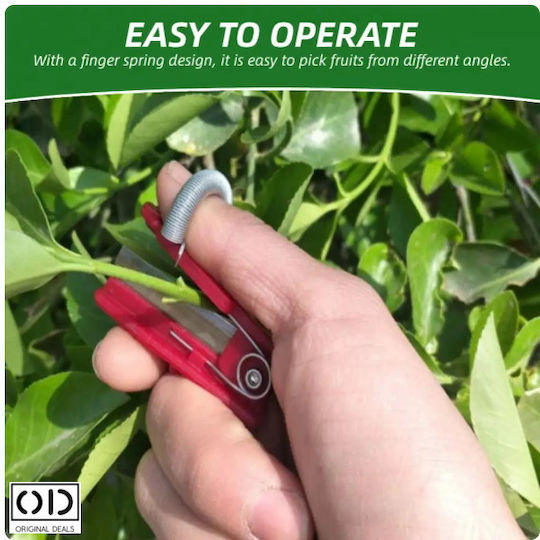 Foarfeci Mini de Grădină pentru Degete Compatibile cu Vița de Vie Fructe Lăstari de Legume Dimensiune 5 X 1.3 Cm Roșu Oferte Originale