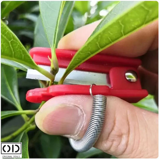 Foarfeci Mini de Grădină pentru Degete Compatibile cu Vița de Vie Fructe Lăstari de Legume Dimensiune 5 X 1.3 Cm Roșu Oferte Originale