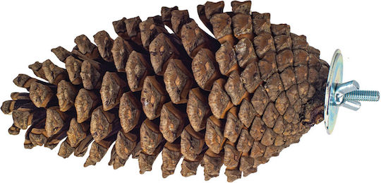 Perch Large Pinecone Birds Kingdom 13cm