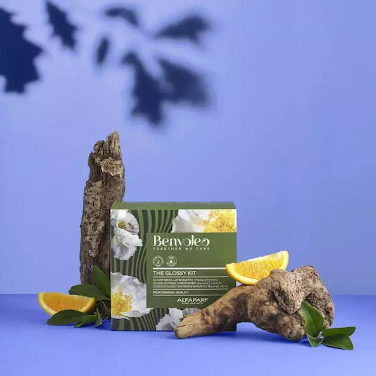 Alfaparf Milano Professional Benvoleo Glossy Σετ Περιποίησης για Λάμψη