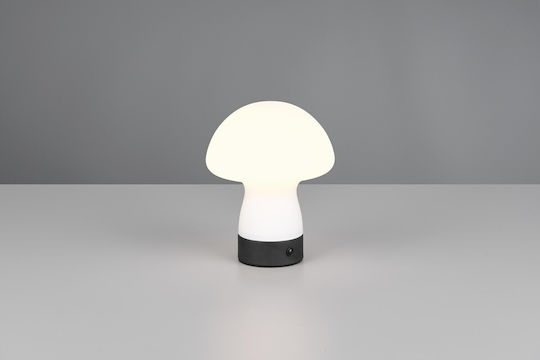 Trio Lighting Стъклена Настолна лампа LED с Бял Абажур и Основа