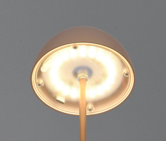 Trio Lighting Kunststoff Tischlampe LED mit Braun Schirm und Basis