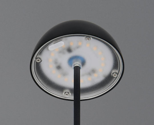 Trio Lighting Kunststoff Tischlampe LED mit Schwarz Schirm und Basis