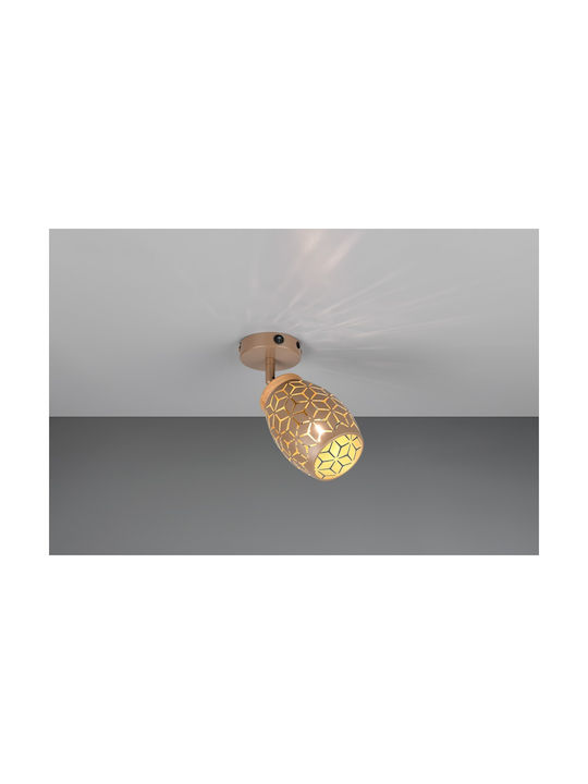 Trio Lighting Einzel Spot in Braun Farbe