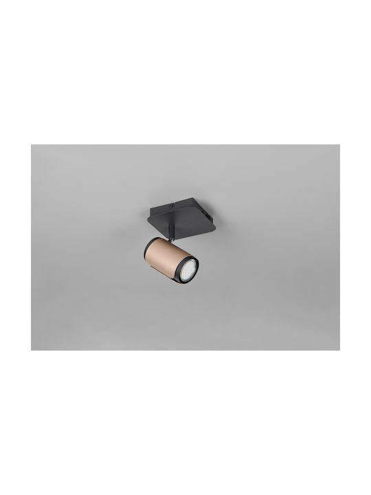 Trio Lighting Monos Spot în Culoare Maro