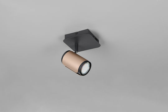 Trio Lighting Single Spot in Brown Color