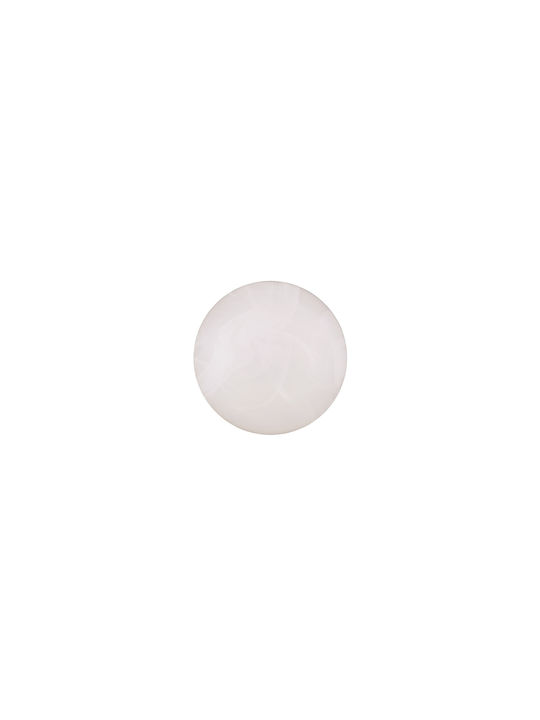 Trio Lighting Ceiling Mount Light