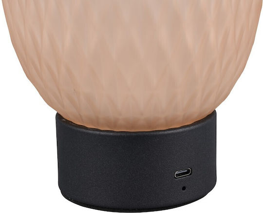 Trio Lighting Decorative Lamp Honey