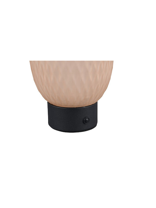 Trio Lighting Διακοσμητικό Φωτιστικό LED Θερμό Λευκό 3000K