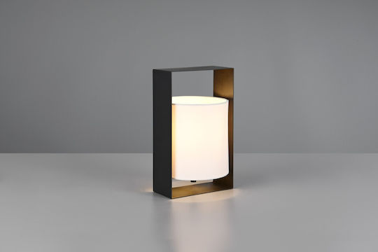 Trio Lighting Διακοσμητικό Φωτιστικό E27