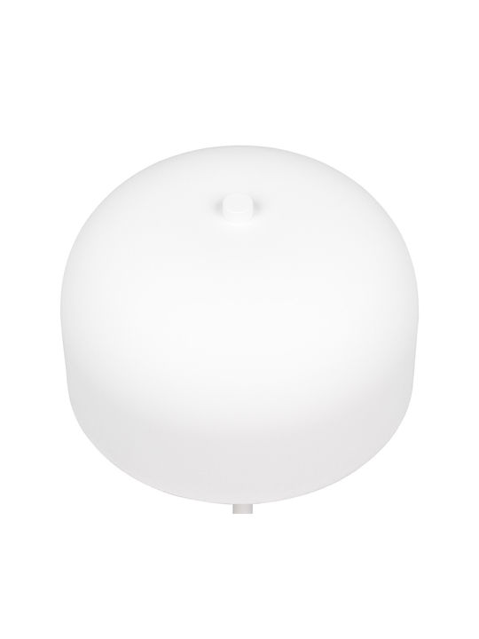 Trio Lighting LED Floor Lamp with Warm White Light White