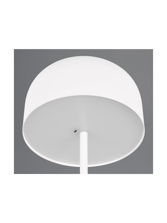 Trio Lighting LED Floor Lamp with Warm White Light White