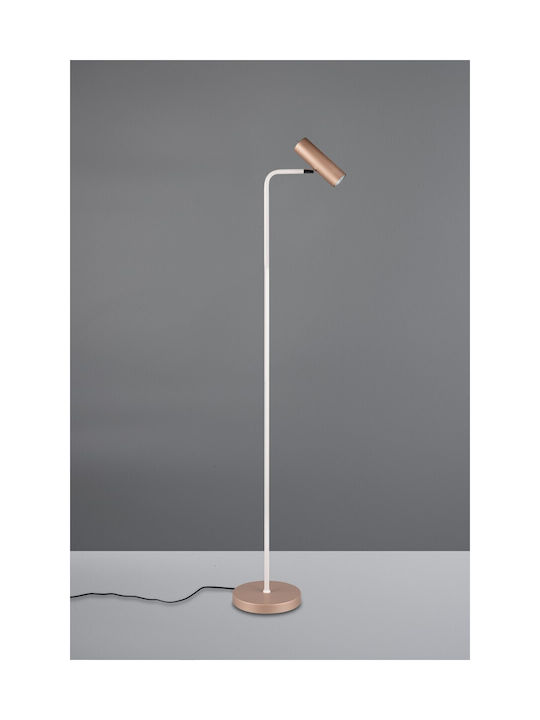 Trio Lighting Marley Φωτιστικό Δαπέδου Καφέ