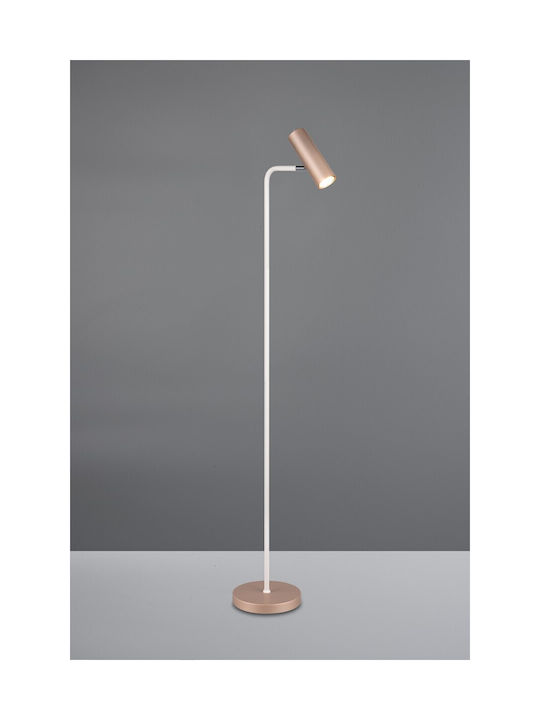 Trio Lighting Marley Φωτιστικό Δαπέδου Καφέ