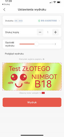 Imprimantă Niimbot B18 14*30 Imprimare Alb Negru