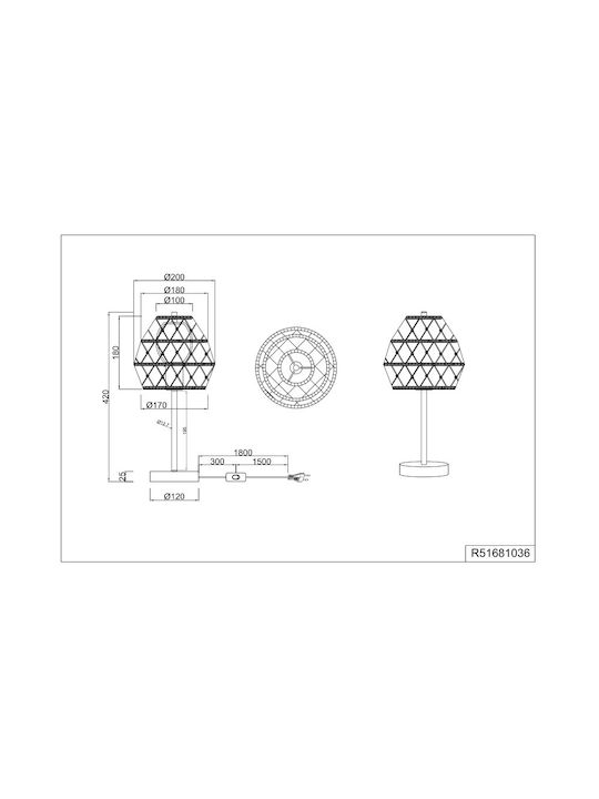Trio Lighting Διακοσμητικό Φωτιστικό E27