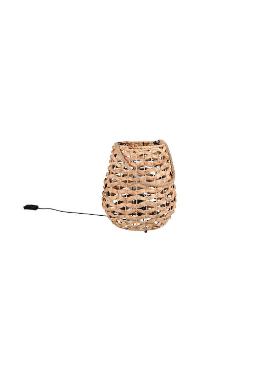 Trio Lighting Διακοσμητικό Φωτιστικό