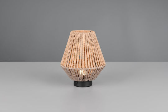 Trio Lighting Διακοσμητικό Φωτιστικό LED Θερμό Λευκό 3000K