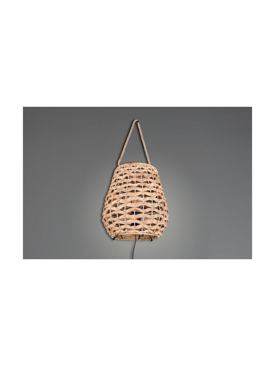 Trio Lighting Διακοσμητικό Φωτιστικό
