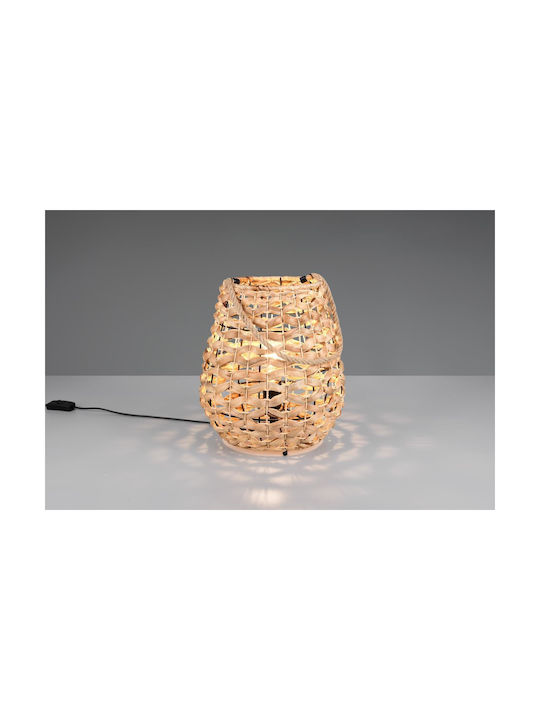Trio Lighting Διακοσμητικό Φωτιστικό