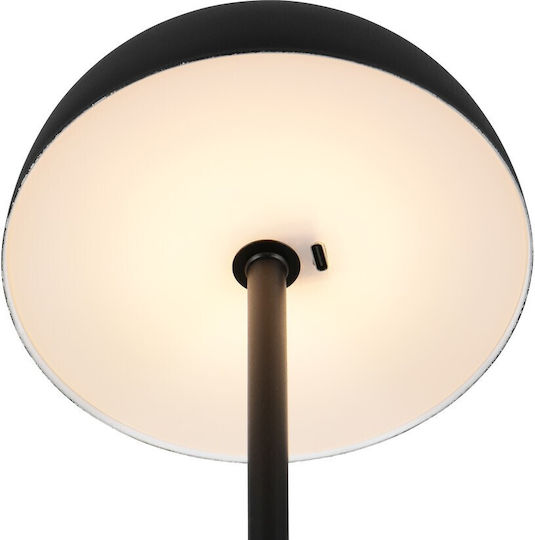 Trio Lighting Metal Lampă de masă LED cu Abajur Negru și Bază