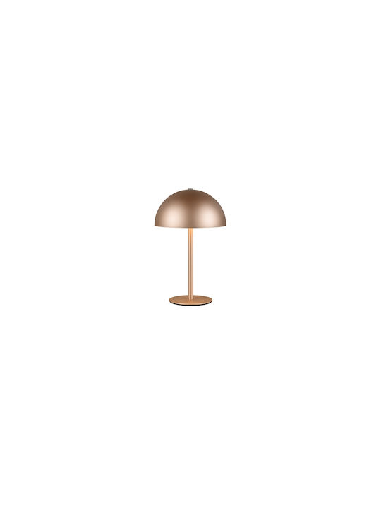 Trio Lighting Μεταλλικό Πορτατίφ LED με Καφέ Καπέλο και Βάση