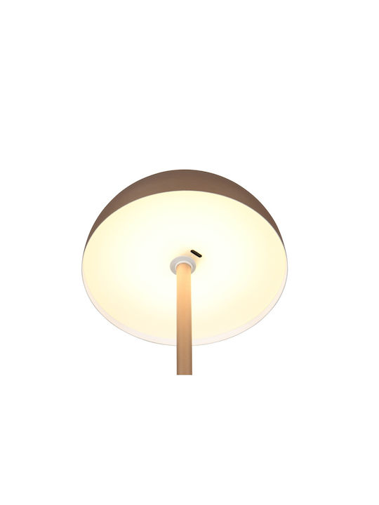 Trio Lighting Μεταλλικό Πορτατίφ LED με Καφέ Καπέλο και Βάση