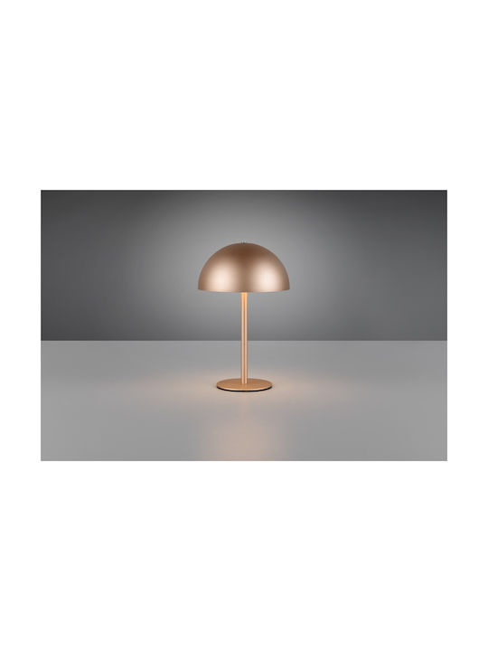 Trio Lighting Μεταλλικό Πορτατίφ LED με Καφέ Καπέλο και Βάση
