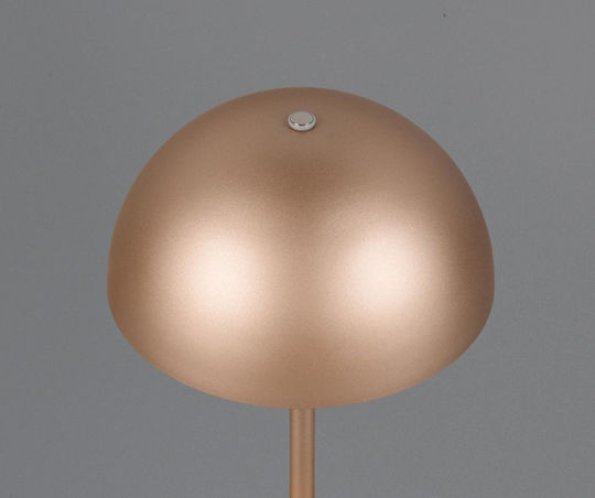 Trio Lighting Metal Table Lamp LED with Brown Shade and Base
