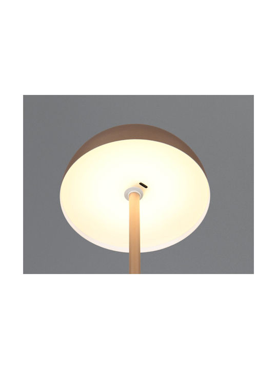 Trio Lighting Μεταλλικό Πορτατίφ LED με Καφέ Καπέλο και Βάση