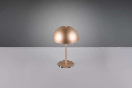 Trio Lighting Metal Table Lamp LED with Brown Shade and Base