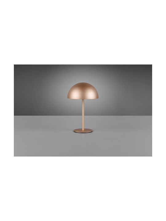 Trio Lighting Μεταλλικό Πορτατίφ LED με Καφέ Καπέλο και Βάση
