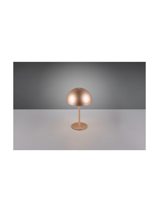 Trio Lighting Μεταλλικό Πορτατίφ LED με Καφέ Καπέλο και Βάση
