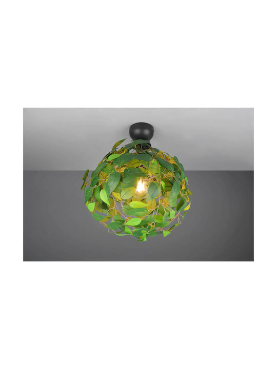 Trio Lighting R604610 Trio Lighting R604610
