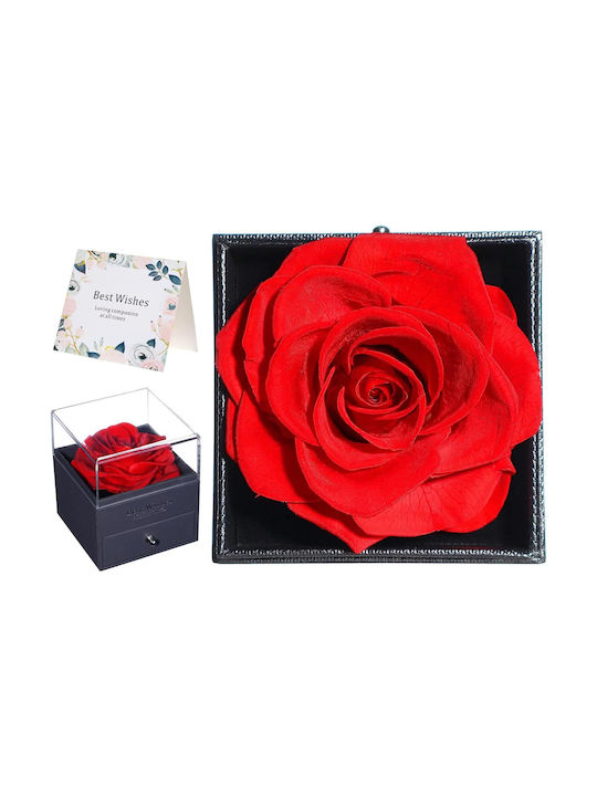 Jewelry Box Preserved Rose Zola 1 Drawer Gift Bag Greeting Card 11 X 9 X 9 Cm Black