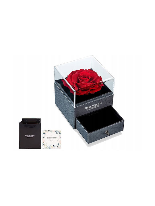 Jewelry Box Preserved Rose Zola 1 Drawer Gift Bag Greeting Card 11 X 9 X 9 Cm Black