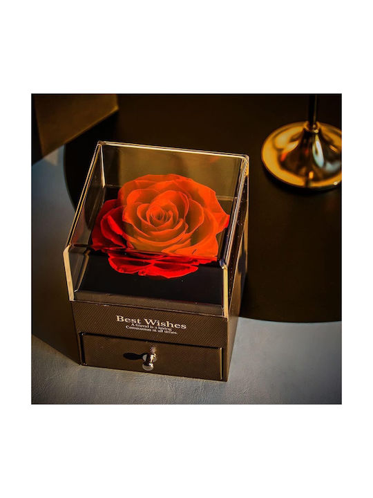 Jewelry Box Preserved Rose Zola 1 Drawer Gift Bag Greeting Card 11 X 9 X 9 Cm Black