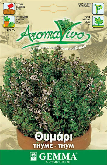 Gemma Seeds Thyme 0.3gr
