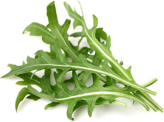 Click and Grow Σπόροι Ρόκας 3τμχ