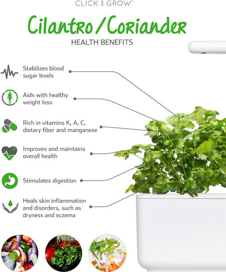Click and Grow Σπόροι Κόλιανδρο 3τμχ
