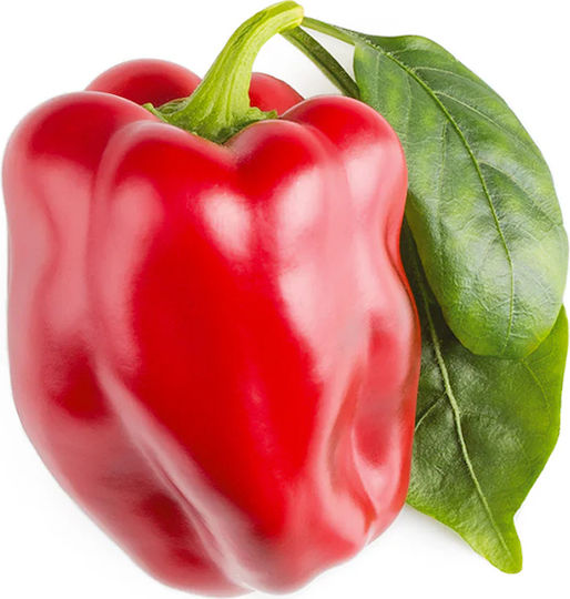 Click and Grow Σπόροι Πιπεριάς Κόκκινη 3τμχ