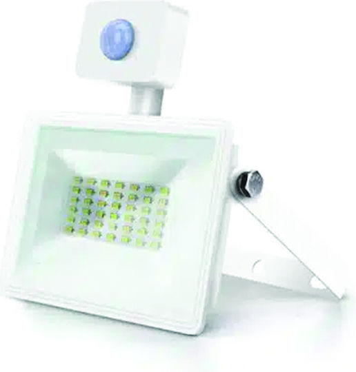 Aigostar Στεγανός Προβολέας LED 30W Φυσικό Λευκό 4000K με Αισθητήρα Κίνησης IP65