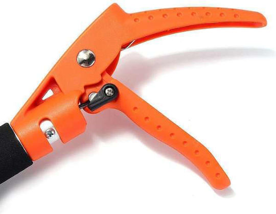 Extension Pruner 22mm/65cm