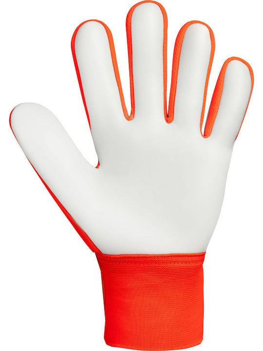 Reusch Reusch Attrakt Starter Solid Jnr Kids Goalkeeper Gloves Blue